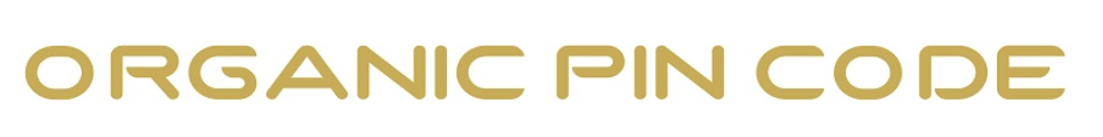 logo biokybernetic